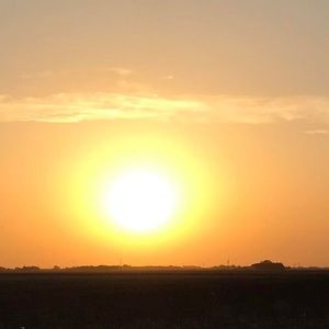 Meet your Posher, Jo